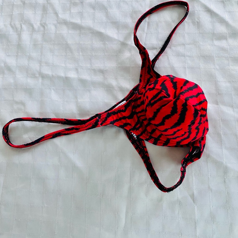 Red and Black Striped Bikini